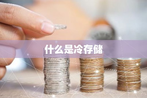 什么是冷存储