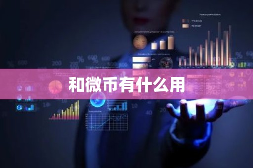 和微币有什么用