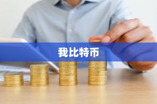 我比特币