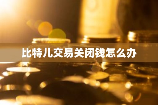 比特儿交易关闭钱怎么办