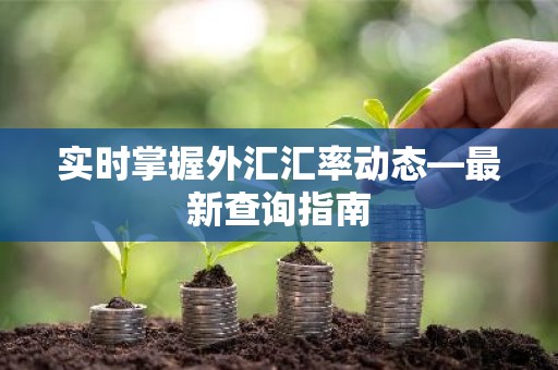 实时掌握外汇汇率动态—最新查询指南