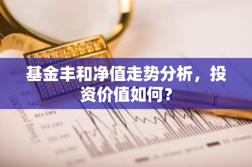 基金丰和净值走势分析，投资价值如何？