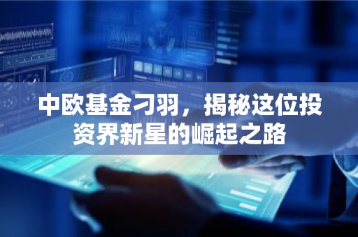 中欧基金刁羽，揭秘这位投资界新星的崛起之路