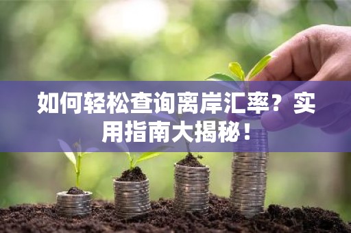 如何轻松查询离岸汇率？实用指南大揭秘！