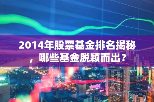 2014年股票基金排名揭秘，哪些基金脱颖而出？