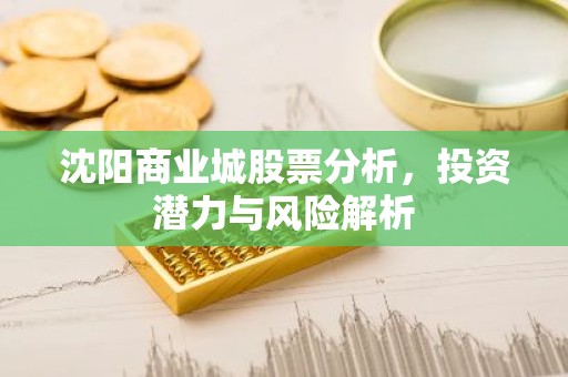 沈阳商业城股票分析，投资潜力与风险解析