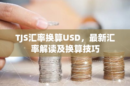 TJS汇率换算USD，最新汇率解读及换算技巧