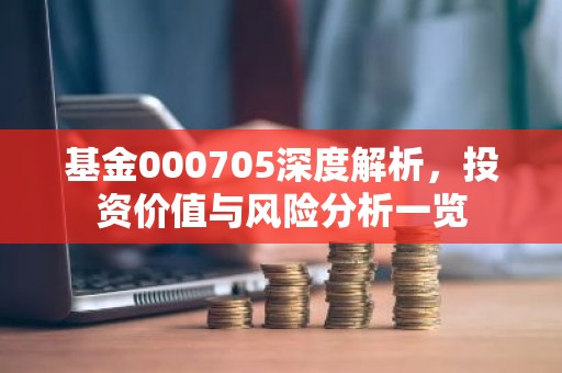 基金000705深度解析，投资价值与风险分析一览