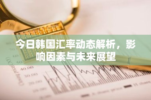 今日韩国汇率动态解析，影响因素与未来展望