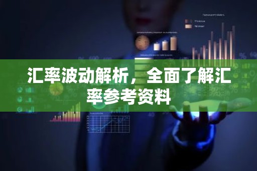 汇率波动解析，全面了解汇率参考资料