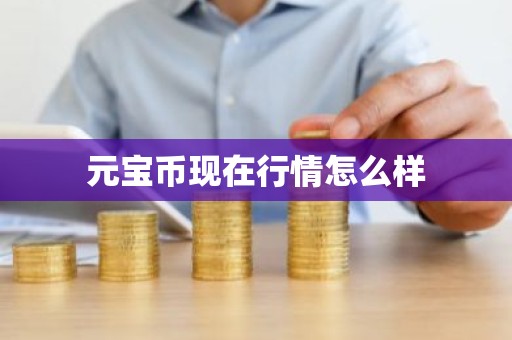 元宝币现在行情怎么样