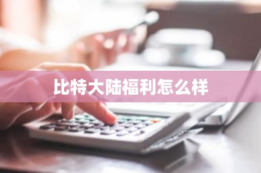 比特大陆福利怎么样