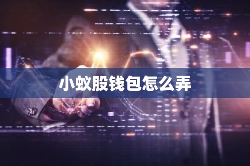 小蚁股钱包怎么弄