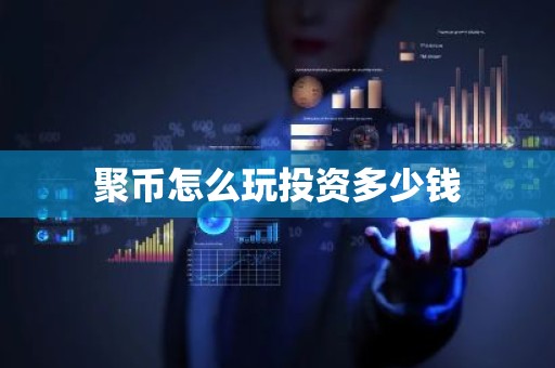 聚币怎么玩投资多少钱