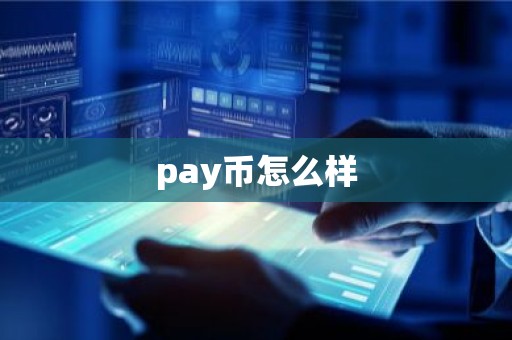 pay币怎么样