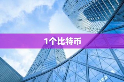 1个比特币