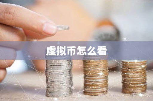 虚拟币怎么看