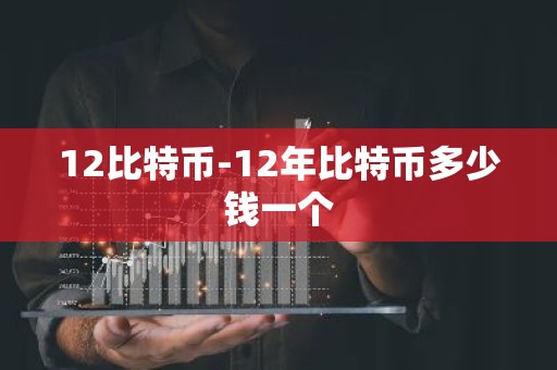 12比特币-12年比特币多少钱一个