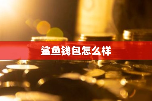 鲨鱼钱包怎么样