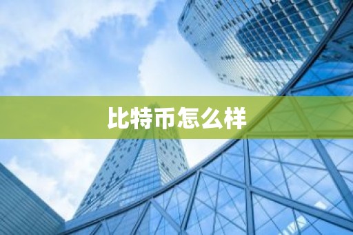 比特币怎么样