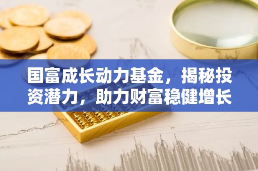 国富成长动力基金，揭秘投资潜力，助力财富稳健增长