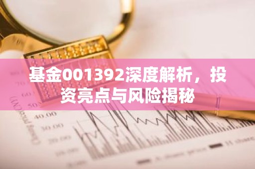 基金001392深度解析，投资亮点与风险揭秘