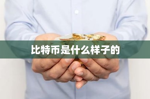 比特币是什么样子的