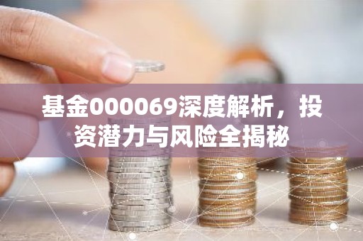 基金000069深度解析，投资潜力与风险全揭秘