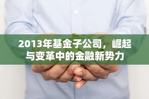 2013年基金子公司，崛起与变革中的金融新势力