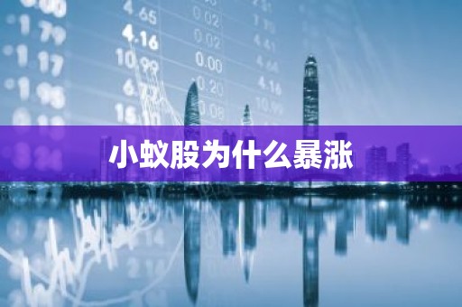 小蚁股为什么暴涨