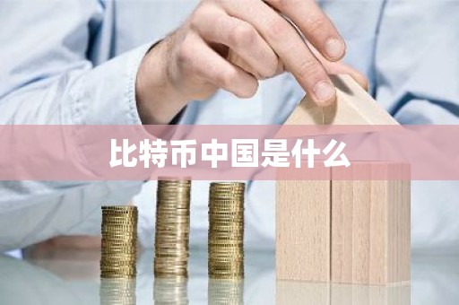 比特币中国是什么