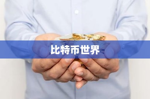 比特币世界