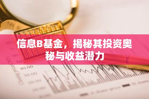 信息B基金，揭秘其投资奥秘与收益潜力