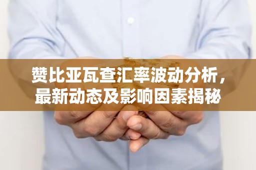 赞比亚瓦查汇率波动分析，最新动态及影响因素揭秘