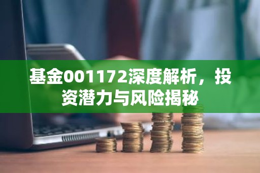 基金001172深度解析，投资潜力与风险揭秘