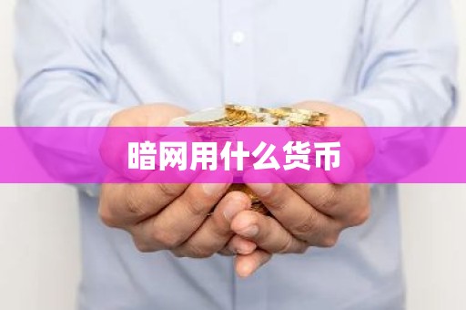 暗网用什么货币