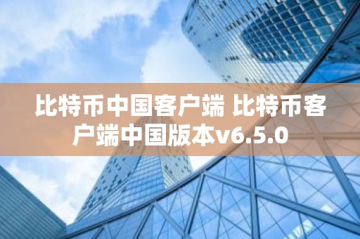 比特币中国客户端 比特币客户端中国版本v6.5.0