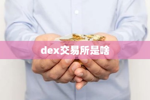 dex交易所是啥