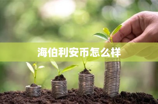 海伯利安币怎么样