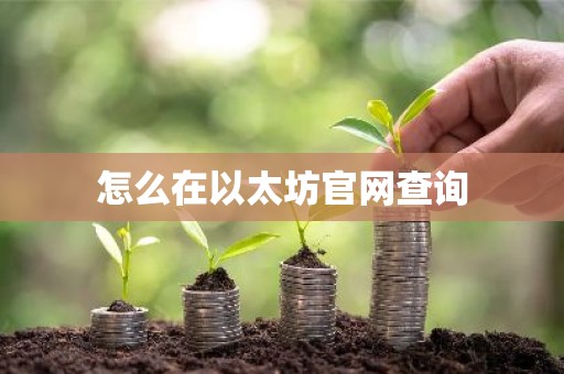 怎么在以太坊官网查询