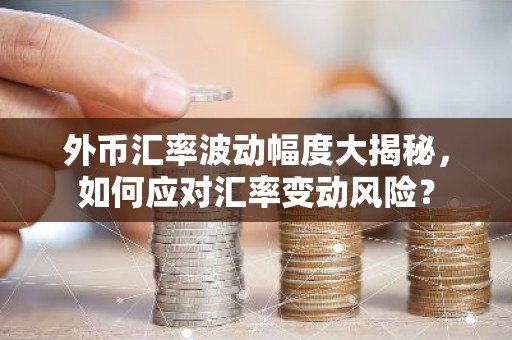 外币汇率波动幅度大揭秘，如何应对汇率变动风险？