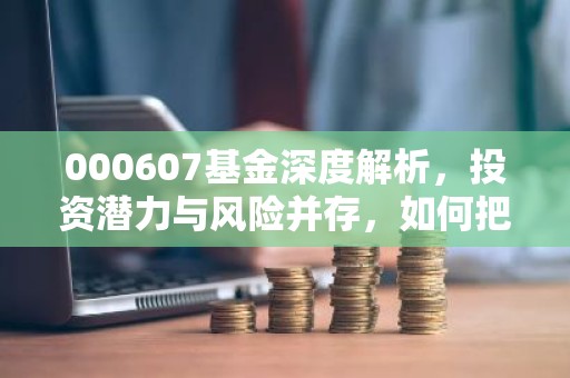 000607基金深度解析，投资潜力与风险并存，如何把握？