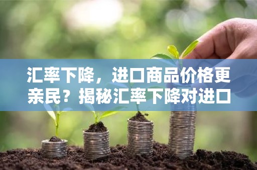 汇率下降，进口商品价格更亲民？揭秘汇率下降对进口的影响