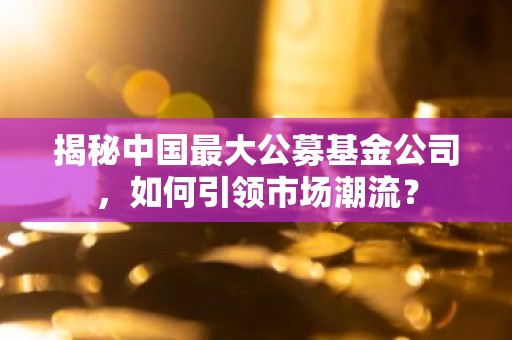 揭秘中国最大公募基金公司，如何引领市场潮流？