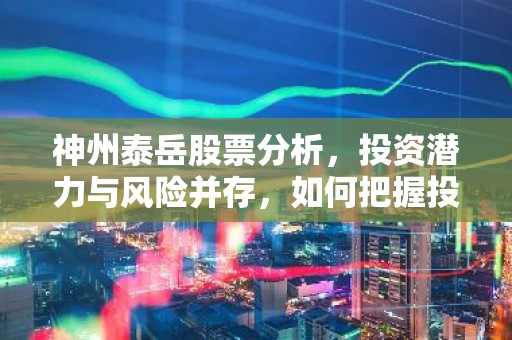 神州泰岳股票分析，投资潜力与风险并存，如何把握投资机会？