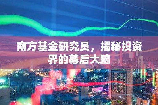 南方基金研究员，揭秘投资界的幕后大脑