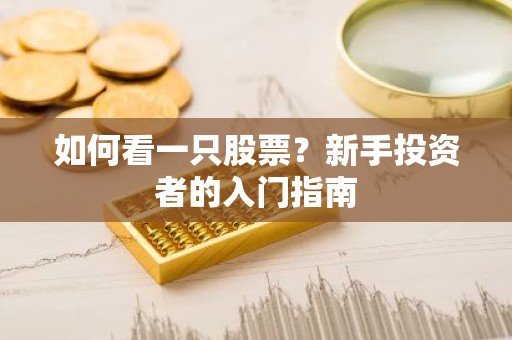 如何看一只股票？新手投资者的入门指南