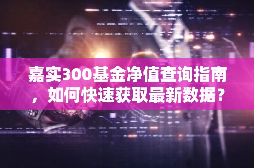 嘉实300基金净值查询指南，如何快速获取最新数据？