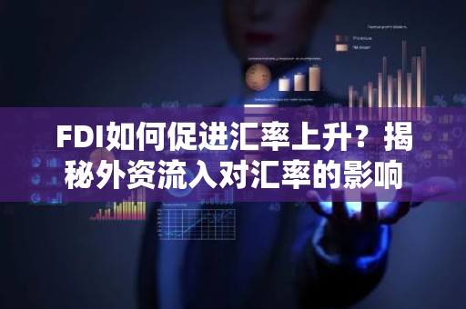FDI如何促进汇率上升？揭秘外资流入对汇率的影响