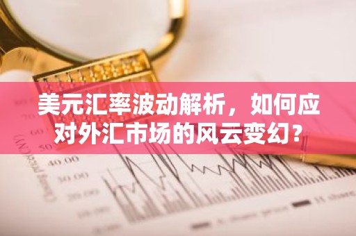 美元汇率波动解析，如何应对外汇市场的风云变幻？